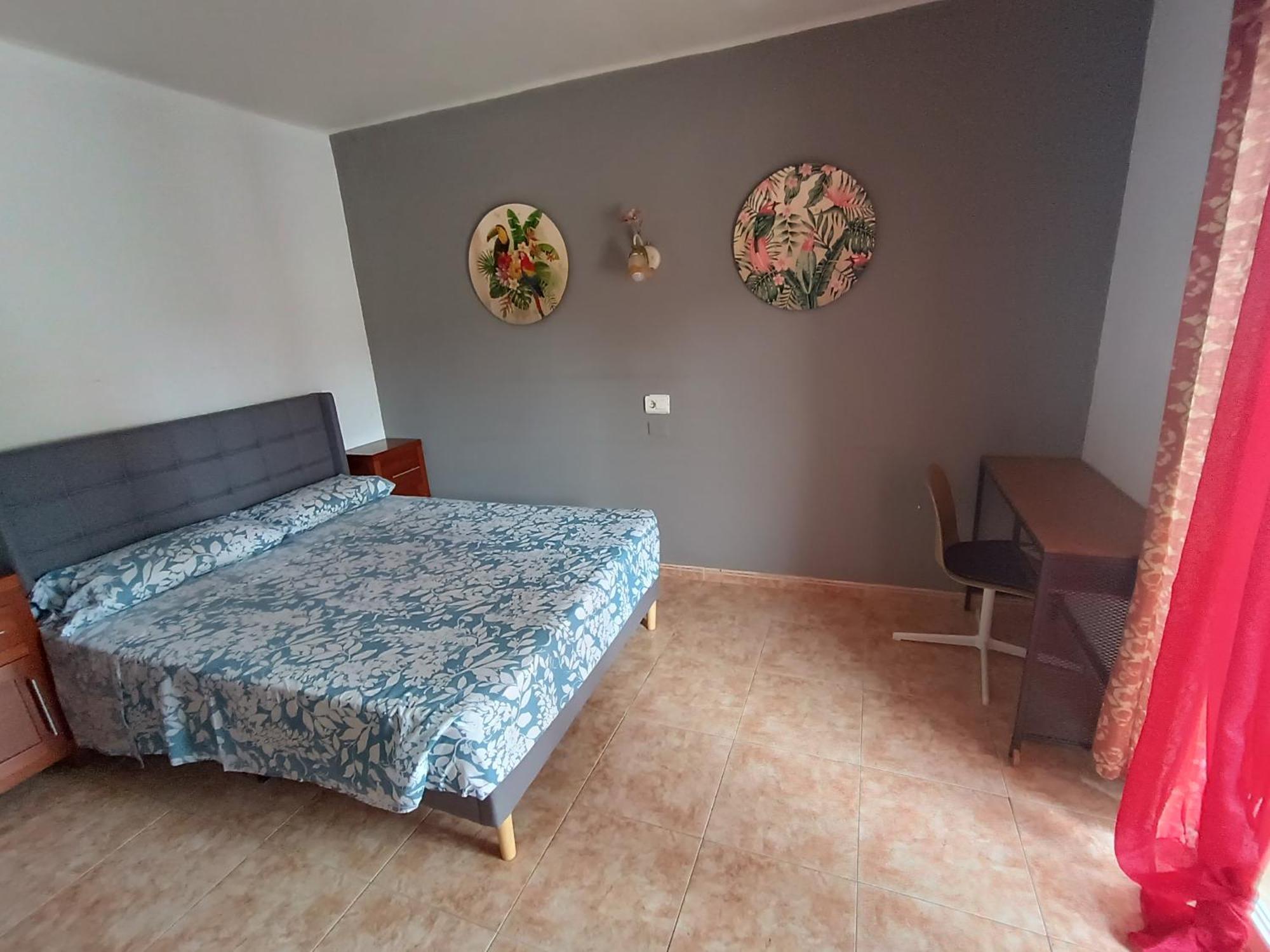 Hostal Belgica Palma Nova  Bilik gambar