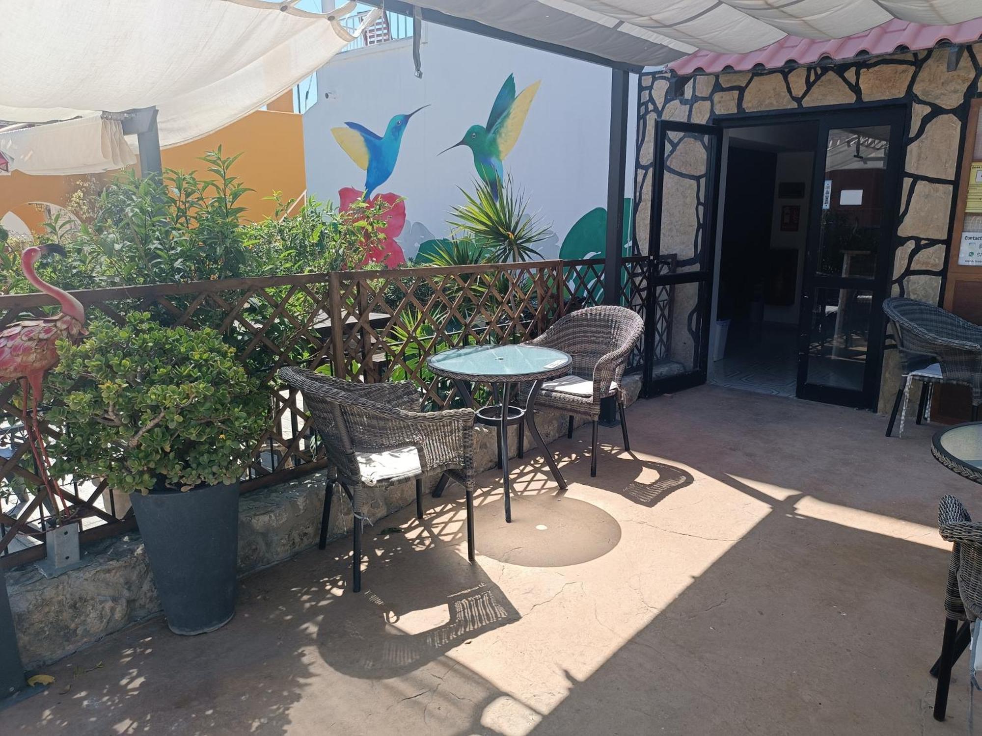 Hostal Belgica Palma Nova  Luaran gambar